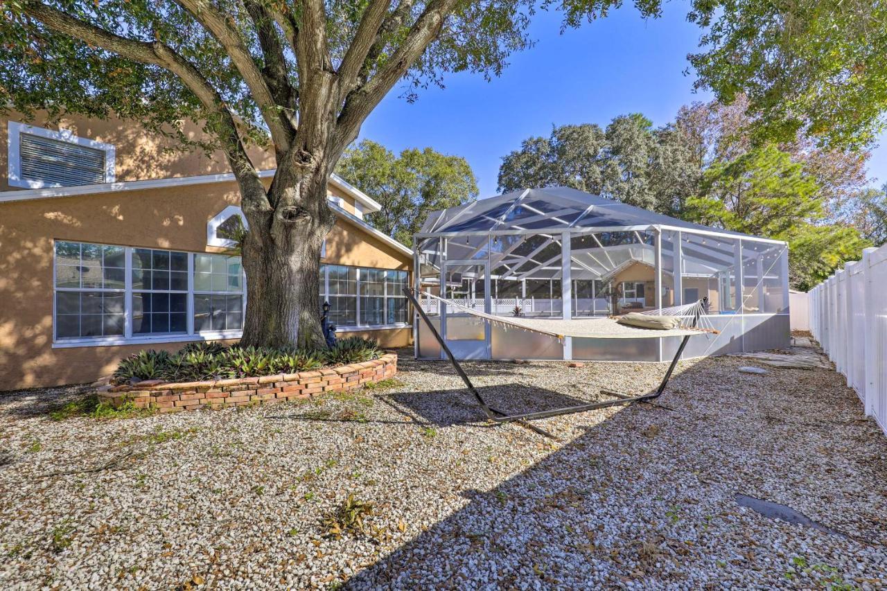 Cozy Home In Heart Of Tampa With Lanai And Pool! Dış mekan fotoğraf